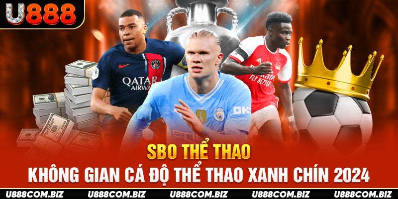 SBO Thể Thao - Không Gian Cá Độ Thể Thao Xanh Chín 2024