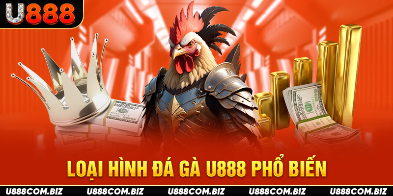 Loại hình đá gà U888 phổ biến